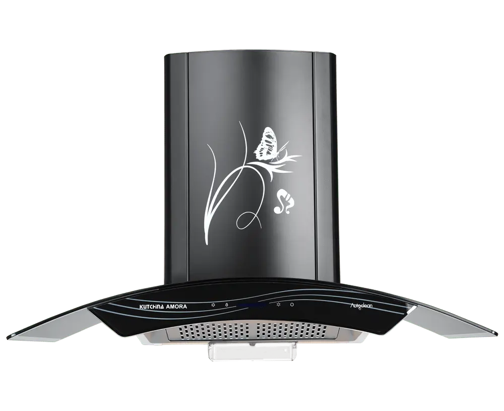 Chimney Service