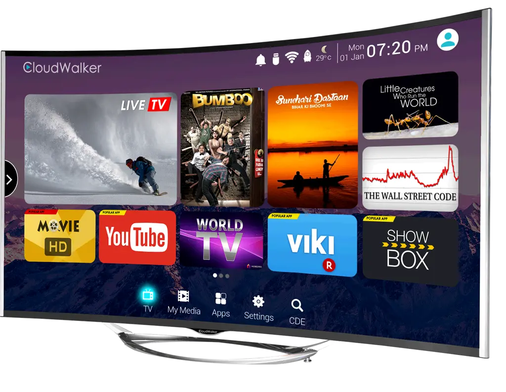 Television Service